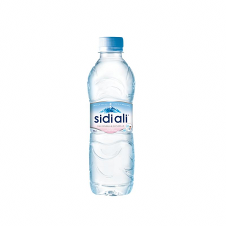 Sidi Ali Cl Eau Min Rale Puret Et Equilibre Livraison Domicile